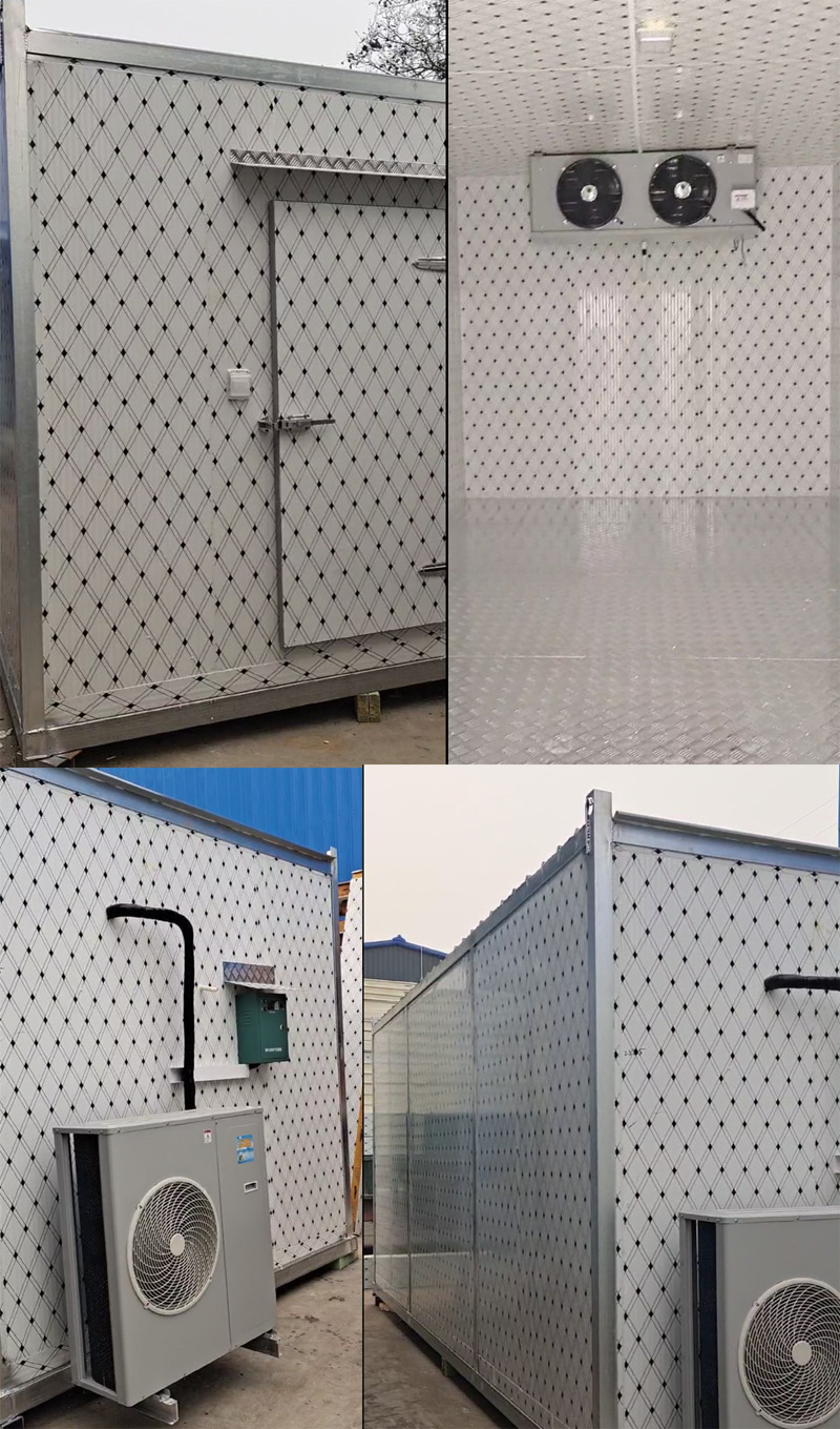 綠惠移動(dòng)冷庫(kù)