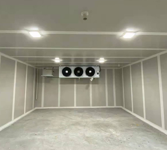 哈密瓜氣調(diào)冷庫(kù)