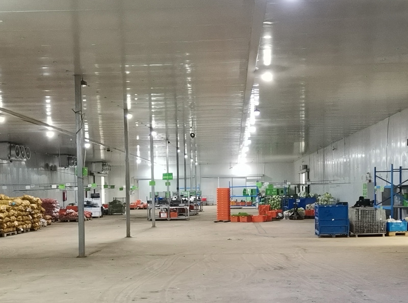 蔬菜保鮮冷庫(kù)