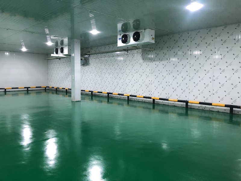 西紅柿冷庫(kù)